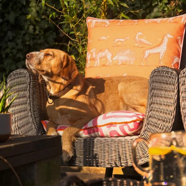 Kingdom Lava Outdoor Outdoor Cushion 4 Kingdom Lava Outdoor Outdoor Cushion - Image 4