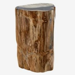Petrified Log Side Table Or Stool -AuraLiving Furniture Store 204605 petrified log stool 7