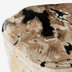 Petrified Log Side Table Or Stool -AuraLiving Furniture Store 204609 petrified log stool detail 1