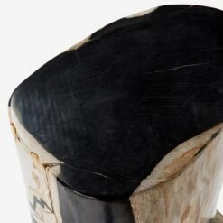 Petrified Log Side Table Or Stool -AuraLiving Furniture Store 204613 petrified log stool detail 2