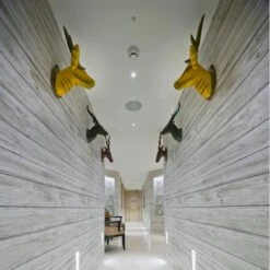 Timber Limed Wallpaper