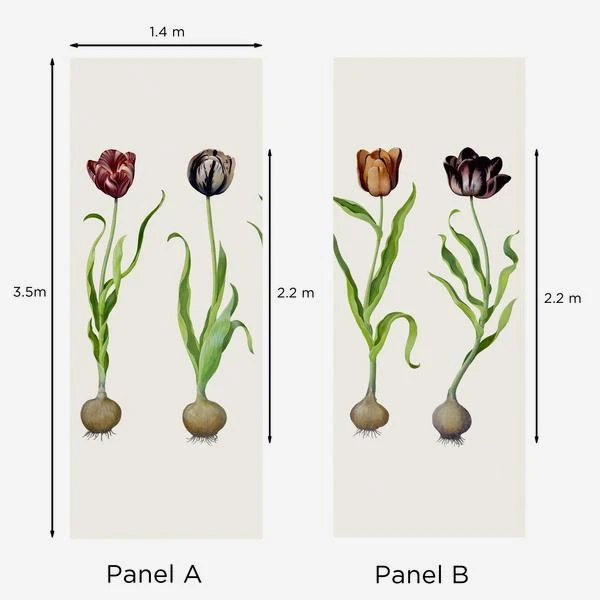 Tulips Wallpaper, Large Panel A + B 2 Tulips Wallpaper, Large Panel A + B - Image 2