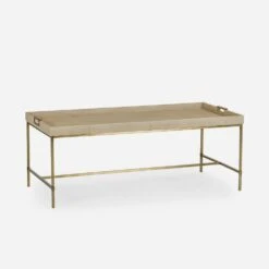 Edith Coffee Table, Latte Shagreen -AuraLiving Furniture Store 216925 new edith coffee table ivory shagreen angle