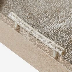 Cosima Decorative Tray -AuraLiving Furniture Store 313788 cosima decorative tray detail