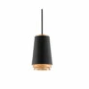 Fahrenheit Pendant Light