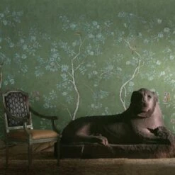 Songbird Spring Wallpaper