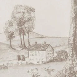 Mythical Land Clay Wallpaper 8 Mythical Land Clay Wallpaper -AuraLiving Furniture Store 325254 mythical land clay close 3