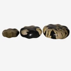 Petrified Wood Stone Set Decorative Accessory -AuraLiving Furniture Store 330395 petrified wooden stone set laid down