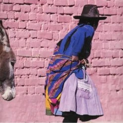 Threads Of Colour Book -AuraLiving Furniture Store 33540 vietnamese pulling donkey threads of colour