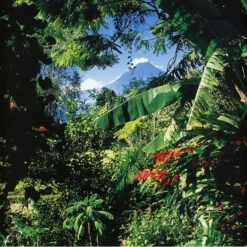 Threads Of Colour Book -AuraLiving Furniture Store 33543 green jungle threads of colour